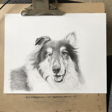 Pencil drawing: 11x14" Single Subject